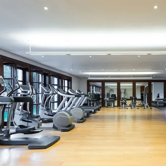 Clean gym with rows of cardio machines